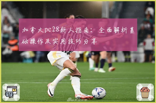 加拿大pc28新人指南：全面解析基础操作及实用技巧分享