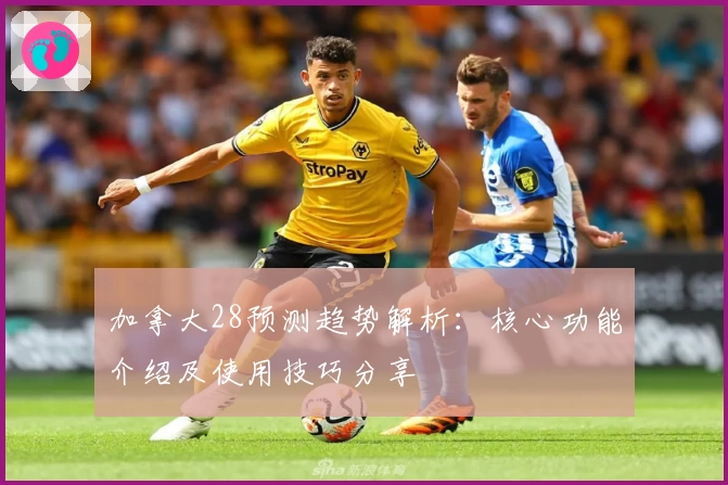 加拿大28预测趋势解析：核心功能介绍及使用技巧分享