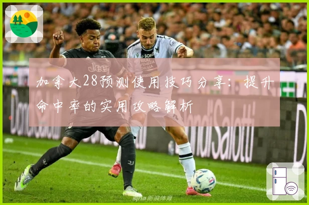 加拿大28预测使用技巧分享：提升命中率的实用攻略解析