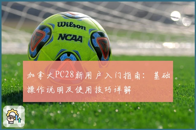 加拿大PC28新用户入门指南：基础操作说明及使用技巧详解