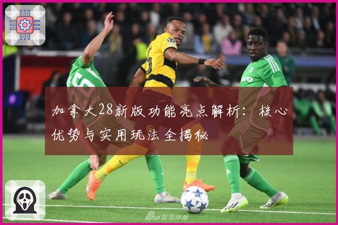 加拿大28新版功能亮点解析:核心优势与实用玩法全揭秘