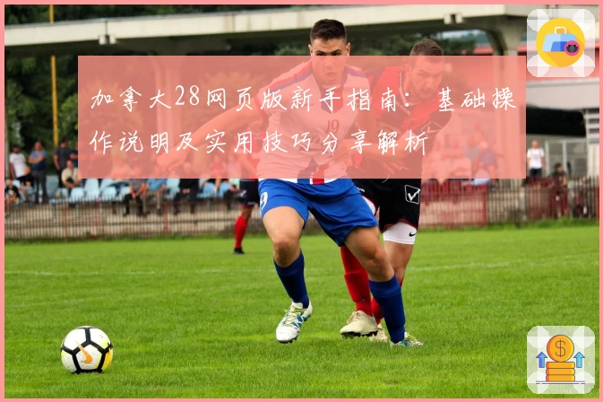 加拿大28网页版新手指南：基础操作说明及实用技巧分享解析