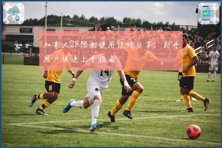 加拿大28预测使用技巧分享：新手用户快速上手指南