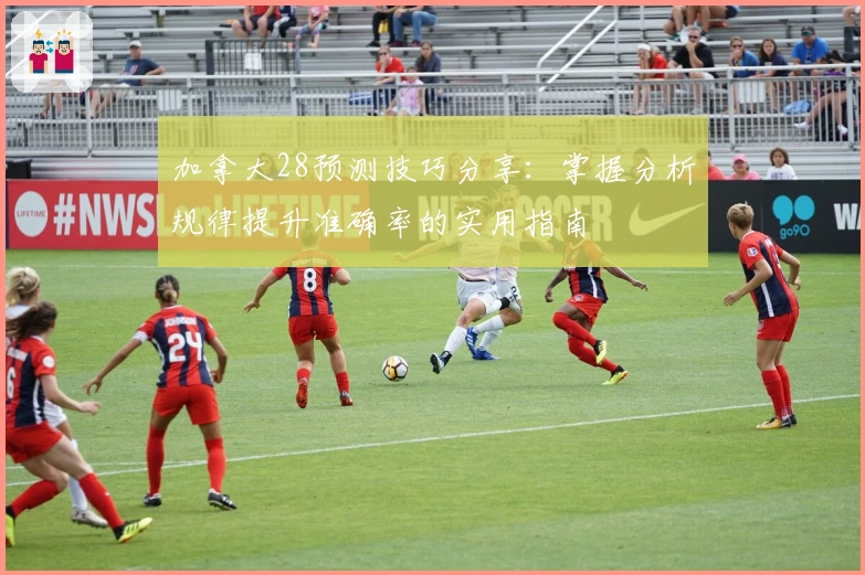 加拿大28预测技巧分享：掌握分析规律提升准确率的实用指南