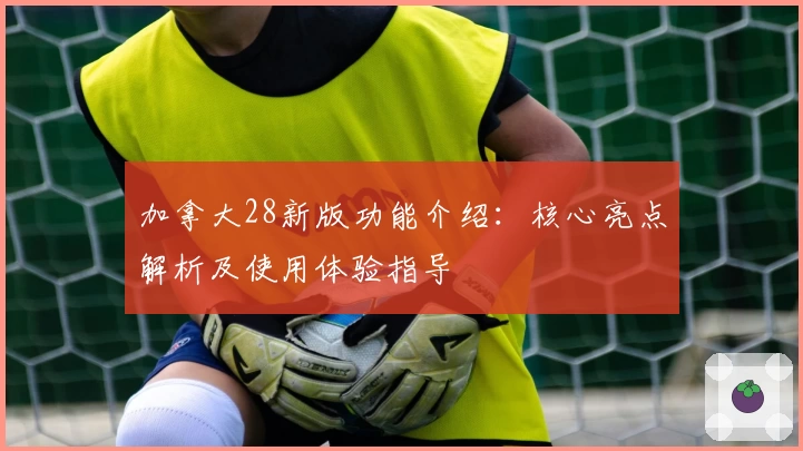 加拿大28新版功能介绍:核心亮点解析及使用体验指导