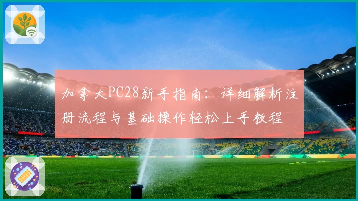 加拿大PC28新手指南：详细解析注册流程与基础操作轻松上手教程