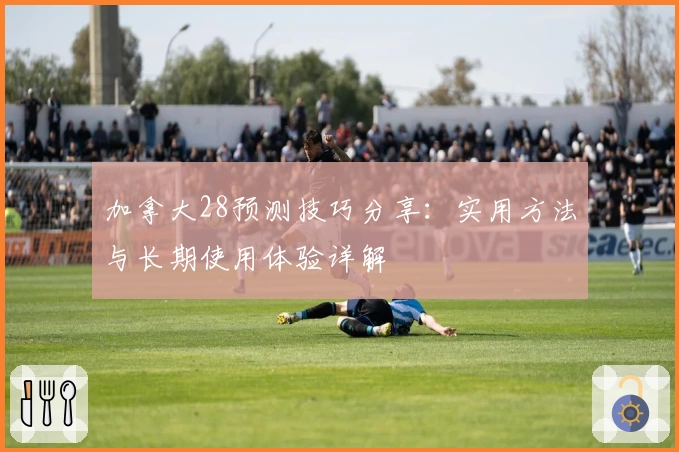 加拿大28预测技巧分享：实用方法与长期使用体验详解