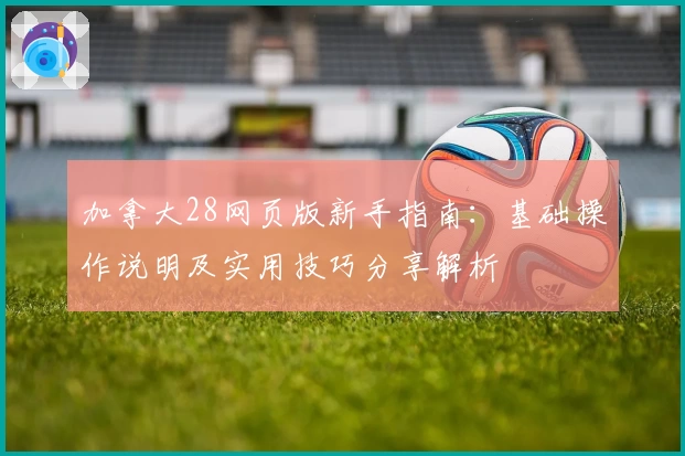 加拿大28网页版新手指南：基础操作说明及实用技巧分享解析