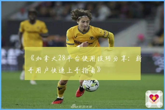 《加拿大28平台使用技巧分享：新手用户快速上手指南》