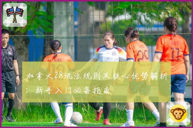 加拿大28玩法规则及核心优势解析：新手入门必备指南